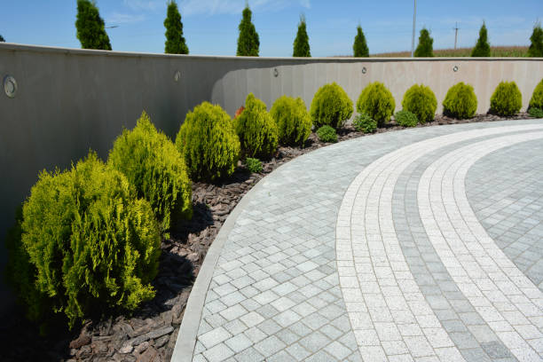 Best Decorative Driveway Pavers  in Round Rock, TX